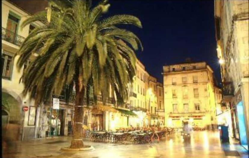 Studio Cosy Au Coeur De L'Ecusson - Arenes A 2 Min Nîmes Buitenkant foto